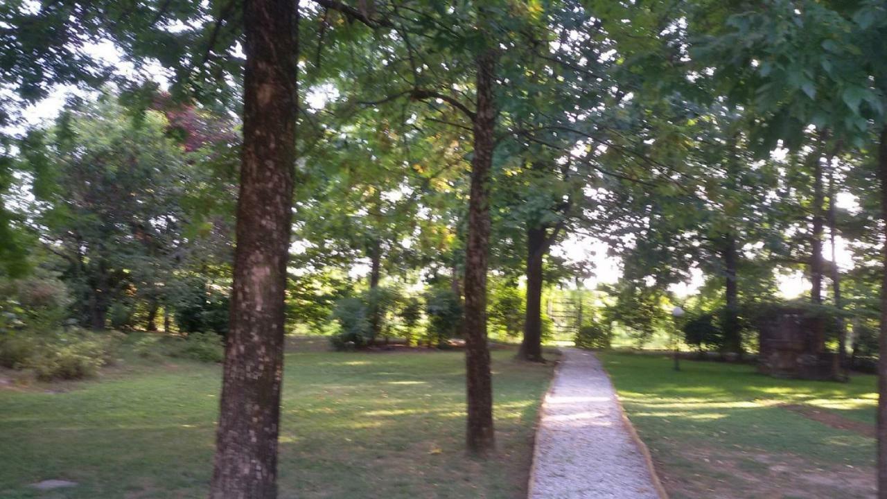 B&B La Vigna Di Federico Rubano Bagian luar foto