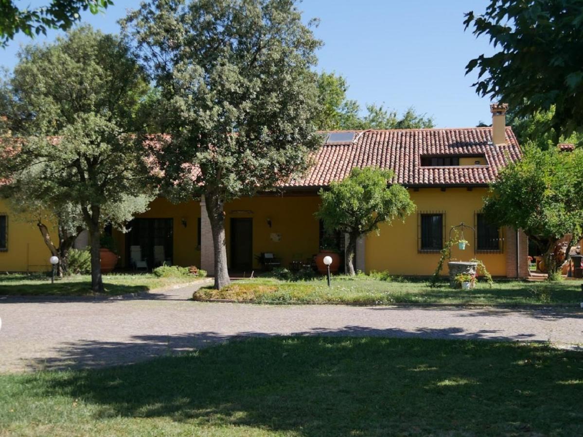 B&B La Vigna Di Federico Rubano Ruang foto